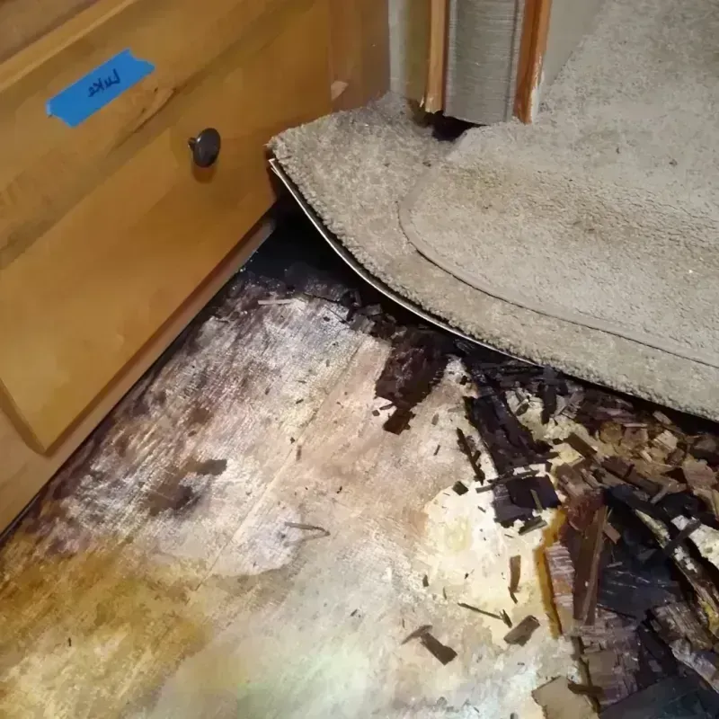 Wood Floor Water Damage in Woodland Park, NJ